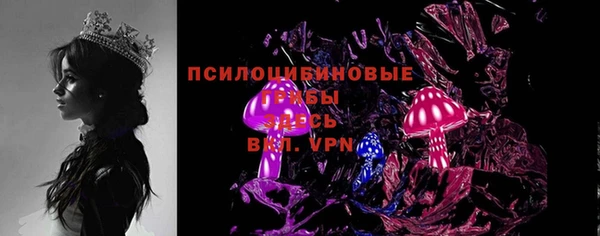 ПСИЛОЦИБИНОВЫЕ ГРИБЫ Володарск
