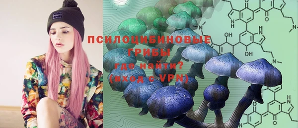 ПСИЛОЦИБИНОВЫЕ ГРИБЫ Володарск